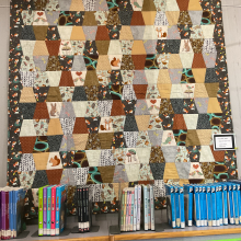 Mazomanie Free Library "Tumbler" Quilt Exhibit